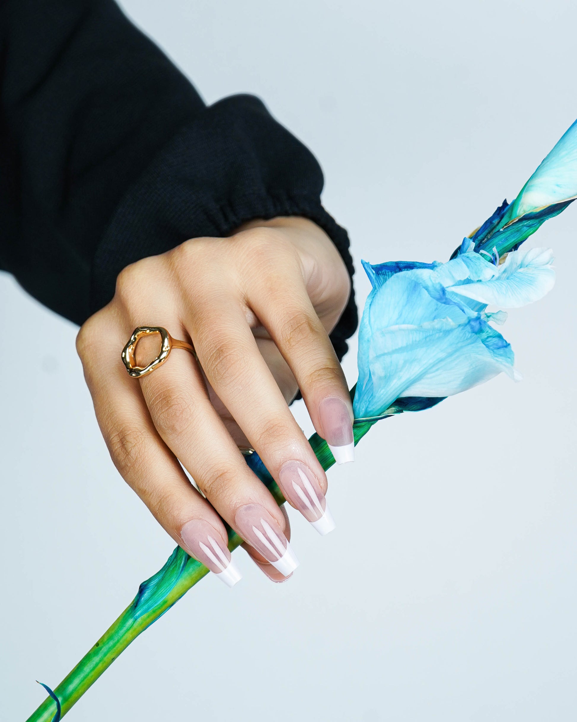 French Affair Coffin Press On Nails
